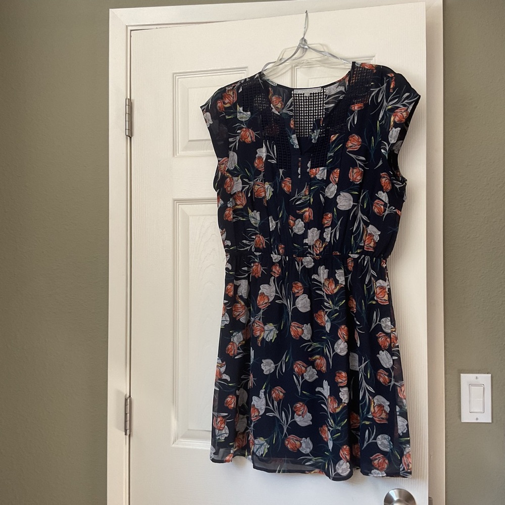 Daniel Rainn Floral Sleeveless Dress
